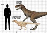 MOVIE REAL LIFE
