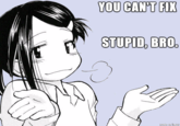 YOU CAN'T FIX STUPID, BRO. made on imgLF