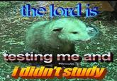 the lord is testing me and @69possums420 i didn't study