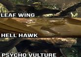 LEAF WING HELL HAWK PSYCHO VULTURE