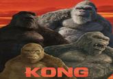 KONG