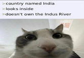 >country named India > looks inside > doesn't own the Indus River