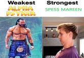Weakest ALPHA PSYKER Strongest SPESS MAREEN m mmm mam N