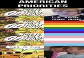 AMERICAN PRIORITIES THIS IS NOT CORNE THIS IS KNOT. OOONE FINE 1-2 year age gap THIS IS NOT FINE при M THIS IS FINE.