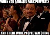 WHEN YOU PARALLEL PARK PERFECTLY AND THERE WERE PEOPLE WATCHING imgfilp.com
