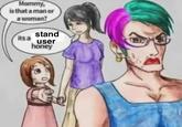Mommy, is that a man or a woman? its a stand user honey