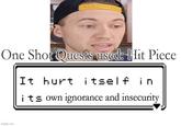 One Shot Quests used: Hit Piece It hurt itself in its own ignorance and insecurity imgflip.com