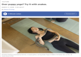 CULTURE Over puppy yoga? Try it with snakes. MARCH 11, 2026 5:30 AM ET By Deena Prichep 3-Minute Listen TRANSCRIPT Christina Chang is encircled by Gemma, a carpet python, during Snake Yoga at HISSS in Portland, Ore. on Feb. 28. Celeste Noche for NPR