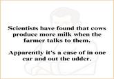 Scientists have found that cows produce more milk when the farmer talks to them. Apparently it's a case of in one ear and out the udder.