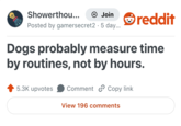 Showerthou... + Join reddit Posted by gamersecret2 5 day... Dogs probably measure time by routines, not by hours. 5.3K upvotes Comment Copy link View 196 comments