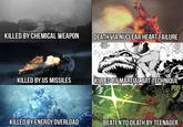 KILLED BY CHEMICAL WEAPON DEATH VIA NUCLEAR HEART FAILURE 7 PENE- TRATING FIST! www STUDIED UNDER HORIBE- SENSEI, LEAPT INTO THE AIR! KILLED BY US MISSILES KILLED BY MARTIAL ART TECHNIQUE KILLED BY ENERGY OVERLOAD BEATEN TO DEATH BY TEENAGER