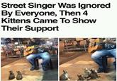 Street Singer Was Ignored By Everyone, Then 4 Kittens Came To Show Their Support