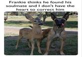 Frankie thinks he found his soulmate and I don't have the heart to correct him