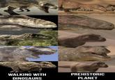 WALKING WITH DINOSAURS PREHISTORIC PLANET