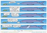 I KNOW THAT. SHARK! VM. You DON'T HAVE TO BE AFRAID. I MAY BE DIFFERENT BUT I'M HARMLESS. из 3 THEN WHY DID YOU SCREAM? BECAUSE I'M EXCITED TO SEE YOU, SILLY! OH. I ALSO GOT You A CUPCAKE. TURTLE! m You defy the stereotypes. 4AMSHOWER by guy Kopsombut 3 Happy Wednesday 5/3/17
