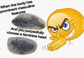 When the body has prominent masculine features And you purpesfully choose a feminine head
