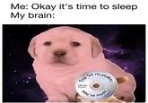 Me: Okay it's time to sleep My brain: Top 50 mistakes DVD You've made