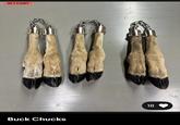 IN 1 CART Buck Chucks 18
