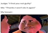 Judge: "I find you not guilty" Me: "Thanks I won't do it again" My lawyer: