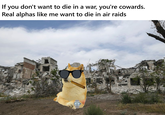 If you don't want to die in a war, you're cowards. Real alphas like me want to die in air raids