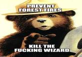 imgflip.com PREVENT FOREST FIRES KILL THE F------ WIZARD