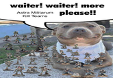 waiter! waiter! more Astra Militarum Kill Teams please!!