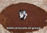 biblical levels of greed