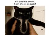 Sir put me down. I am the manager!