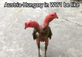 Austria-Hungary in WW1 be like Drea NAGO