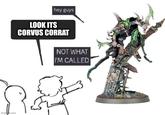 img.com hey guys LOOK ITS CORVUS CORRAT NOT WHAT I'M CALLED
