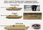 You can't help but appreciate the German tank classification: Panther Tiger Mouse COCOCOCOCO