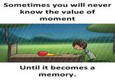 Sometimes you will never know the value of moment Until it becomes a memory.