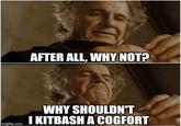 AFTER ALL, WHY NOT? imgflip.com WHY SHOULDN'T I KITBASH A COGFORT