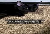 I love how cats are like, "wow this makes me so happy, I am now going to vibrate."