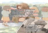 Nordic countries today having some of the highest quality of life standards in the world imgflip.com Nordic countries in the 1960s being *really* into eugenics