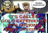 Golden Experience! IT'S CALLEDLA GOLD EXPERIENCE YOU F------ ADIOT !!!!!