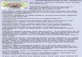 Anonymous 280 KB JPG 03/28/26(Sat) 19:08:16 No.18408779 Christians. Please explain and justify the following; >2 Kings 2:23-25 Yahweh sends a bear to maul a group of children to death for laughing at a bald man >Ezekiel 23:20 The bible talks about the size of a man's penis and the strength of his ejaculations, comparing them to animals, b--------- implications >Psalm 137:9 Yahweh delights at little babies being slammed against rocks until they die >Ephesians 6:5 Yahweh endorsing and encouraging slavery >Titus 2:9 Epistle from Paul demanding slaves must obey their masters no matter what they ask them to do >1 Timothy 6:1 Epistle from Paul stating slaves they must always respect their masters or else risk upsetting Yahweh >Numbers 31:18 Yahweh endorses the slavery, kidnapping, and paedophilic r--- of little girls, and the murder of their families >Job Yahweh allows Satan (the adversary - it is disputed as to whether thj is *the* Satan or simply some other powerful supernatural entity) - to torture Job physically and mentally for years and to murder his entire family, just to win a bet >Genesis The word Elohim, meaning Gods in the Hebrew, is used throughout, which the plural form of the word, indicating a pantheon of Gods and Yahweh as just one of many gods. This is literally the first verse of the bible and it already debunked monotheism if you care to read the original version. >Psalm 82 In the original Hebrew refers to a divine council of deities, with Yahweh being just one of many real Gods. Just like Genesis this almost certainly pre-dates the era when Judaism adopted monotheism. I have never seen a Christian able to defend or explain any of these. They always rely on copes, whataboutism, straight up denial that the verses say what they say. If you can't defend the Bible then how can you follow it?