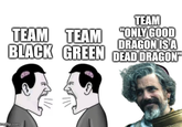 TEAM TEAM TEAM ONLY GOOD DRAGON IS A BLACK GREEN DEAD DRAGON" imgflip.com