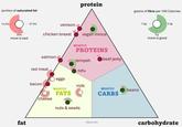 portion of saturated fat 12.5% 37.5% venison protein grams of fibre per 100 Calories 25% more is bad chicken breast vegan mince fat MOSTLY PROTEINS salmon tempeh beef jerky red meat tofu eggs bacon milk MOSTLY FATS MOSTLY beans CARBS cheese nuts & seeds 7.5g 5g more is good 2.5g stisca.com carbohydrate