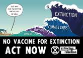 JUST WAIT FOR THE VACCINE AND ALL WILL BE WELL EXTINCTION CLIMATE CRISIS RECESSION COVID-19 NO VACCINE FOR EXTINCTION ACT NOW extinction rebellion