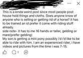 om... This is a kinda weird post since most people post house hold things and cloths. Does anyone know of anyone who is selling or getting rid of a horse? it has. to be trained an id prefer it come with riding stuff already. side note- it has to me 16 hands or taller, gelding or mare (prefer gelding) My son is getting a mini pony possibly i'd i'd like to be able to ride with him. I am an experienced rider, i have videos and pictures from the time i was 7-15. 1