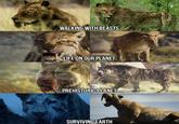 WALKING WITH BEASTS LIFE ON OUR PLANET PREHISTORIC PLANET SURVIVING EARTH