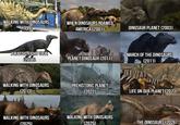 WALKING WITH DINOSAURS (1999) WHEN DINOSAURS ROAMED AMERICA (2001) DINOSAUR PLANET (2003) JURASSIC FIGHT CLUB (2008) PLANET DINOSAUR (2011) MARCH OF THE DINOSAURS (2011) WALKING WITH DINOSAURS BOG (2013) WALKING WITH DINOSAURS (2025) BBC PREHISTORIC PLANET (2022) WALKING WITH DINOSAURS (2025) LIFE ON OUR PLANET (2023) THE DINOSAURS (2026)
