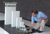 imgflip.com The months of shame A hive urchin trying drugs