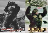 WINGKONG KING KONG ESCAPES!