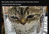 My baby idiot watching her favorite show- Carbonated Beverage