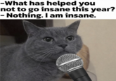 -What has helped you not to go insane this year? Nothing. I am insane.