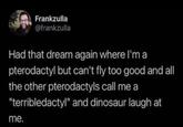 Frankzulla @frankzulla Had that dream again where I'm a pterodactyl but can't fly too good and all the other pterodactyls call me a "terribledactyl" and dinosaur laugh at me.