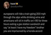 hazel ☀ @sodiumPen europeans will ride a train going 200 mph through the alps while drinking wine and americans will sit in traffic on I-95 for three hours eating a gas station sandwich and say "at least i have my freedom" brother you are imprisoned by a honda accord