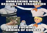 UNMASKING WHO'S BEHIND THE STAGNATION imgflip.com THE F------ DRUIDS OF COURSE